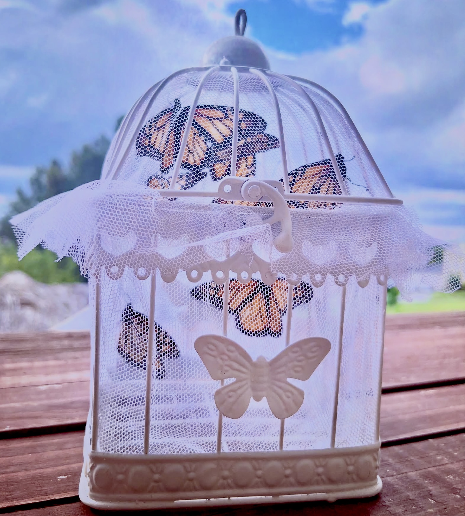 Small Cage