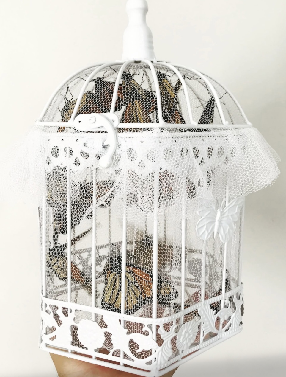 Large Cage