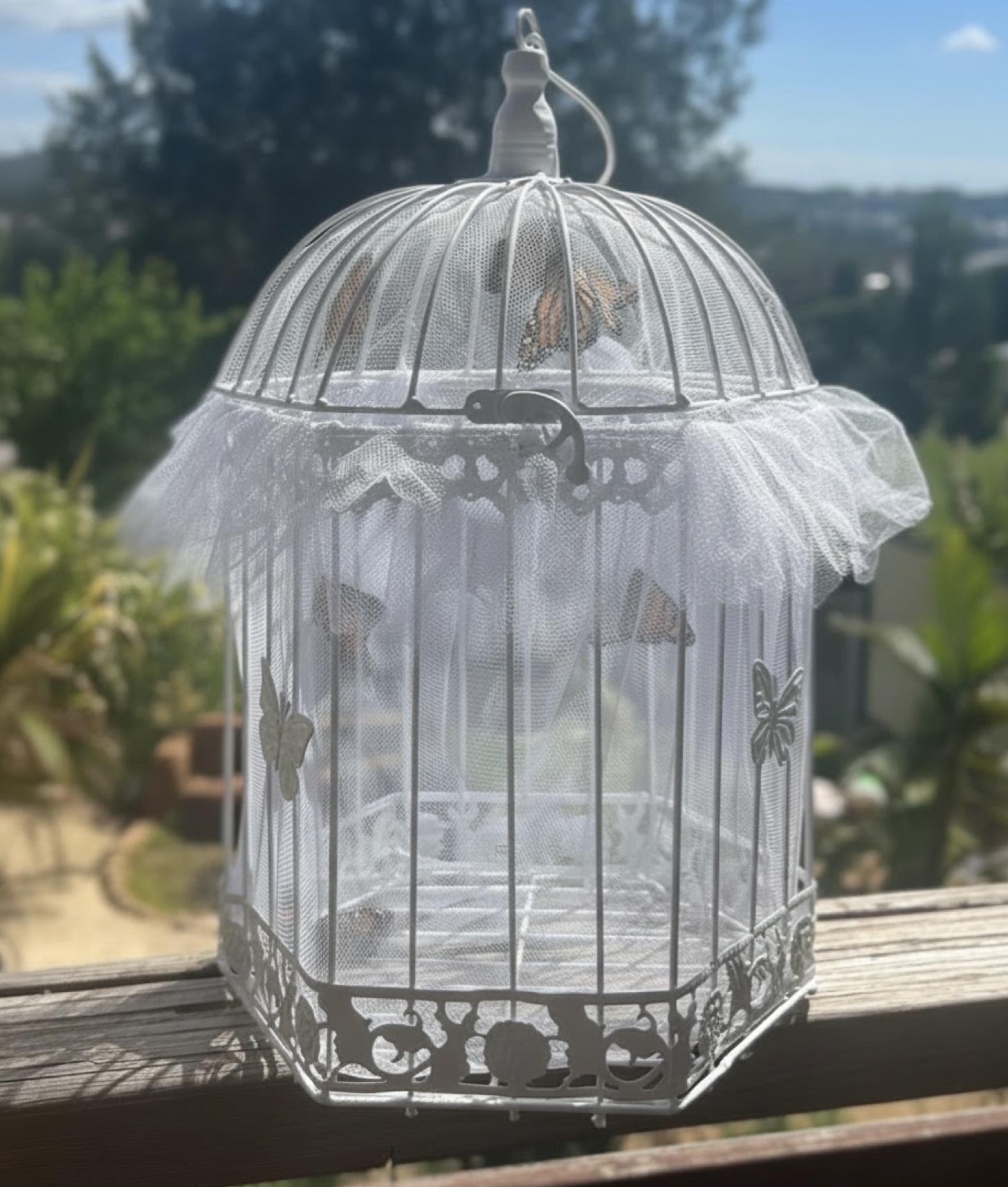 Extra Large Cage
